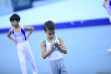2nd day of Azerbaijan and Baku gymnastics championships kicks off (PHOTO)