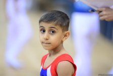 2nd day of Azerbaijan and Baku gymnastics championships kicks off (PHOTO)
