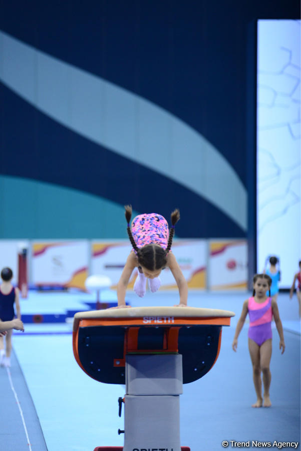 2nd day of Azerbaijan and Baku gymnastics championships kicks off (PHOTO)