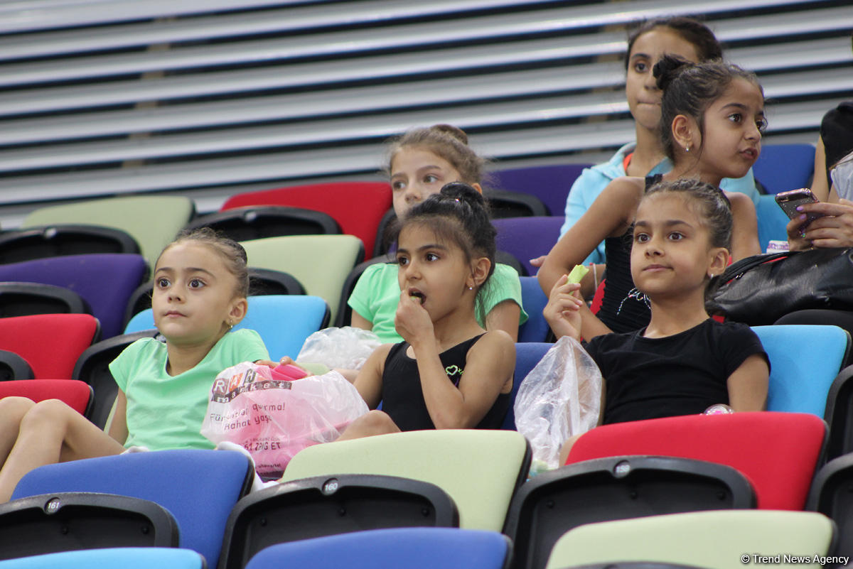 Azerbaijan and Baku Championships in Rhythmic Gymnastics: best moments (PHOTO)