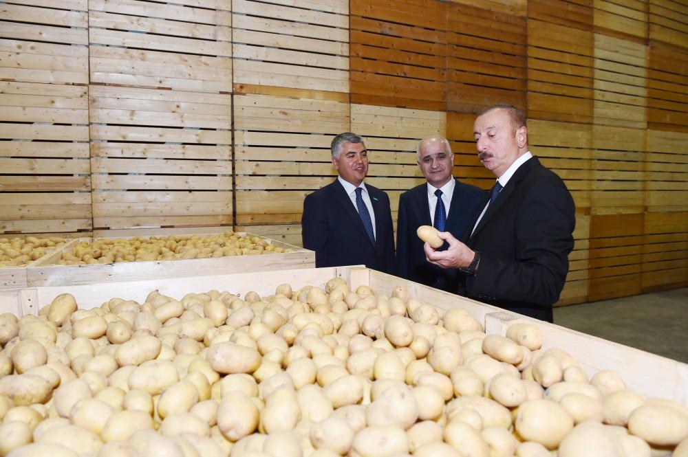 President Ilham Aliyev attends inauguration of agropark built by Buta Group LLC in Ismayilli (PHOTO)