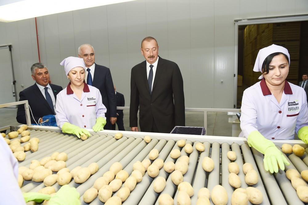 President Ilham Aliyev attends inauguration of agropark built by Buta Group LLC in Ismayilli (PHOTO)