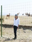 President Ilham Aliyev, first lady Mehriban Aliyeva visit Safari Park Shamakhi (PHOTO)
