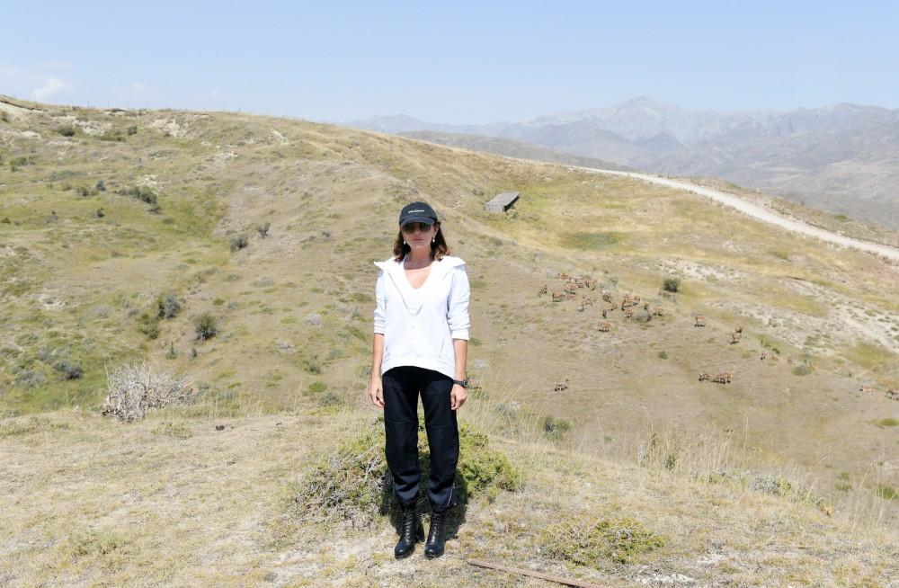 President Ilham Aliyev, first lady Mehriban Aliyeva visit Safari Park Shamakhi (PHOTO)