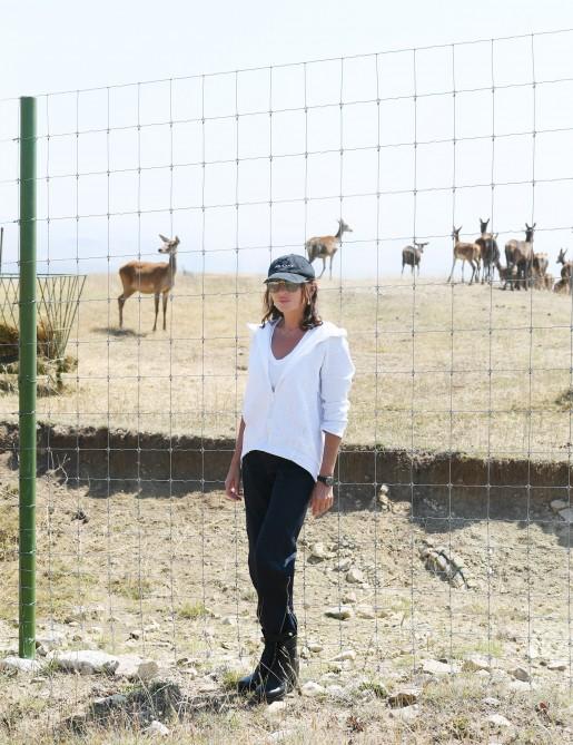 President Ilham Aliyev, first lady Mehriban Aliyeva visit Safari Park Shamakhi (PHOTO)