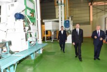 Azerbaijani president attends opening of Masalli-Nematlari LLC rice plant (PHOTO)