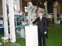 Azerbaijani president attends opening of Masalli-Nematlari LLC rice plant (PHOTO)