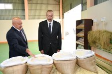 Azerbaijani president attends opening of Masalli-Nematlari LLC rice plant (PHOTO)
