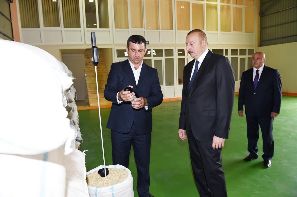 Azerbaijani president attends opening of Masalli-Nematlari LLC rice plant (PHOTO)