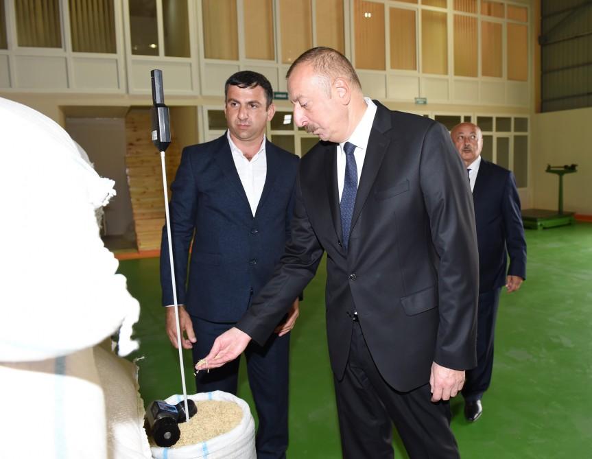 Azerbaijani president attends opening of Masalli-Nematlari LLC rice plant (PHOTO)