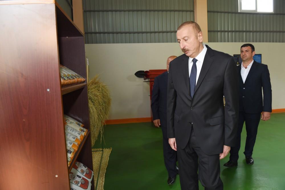 Azerbaijani president attends opening of Masalli-Nematlari LLC rice plant (PHOTO)