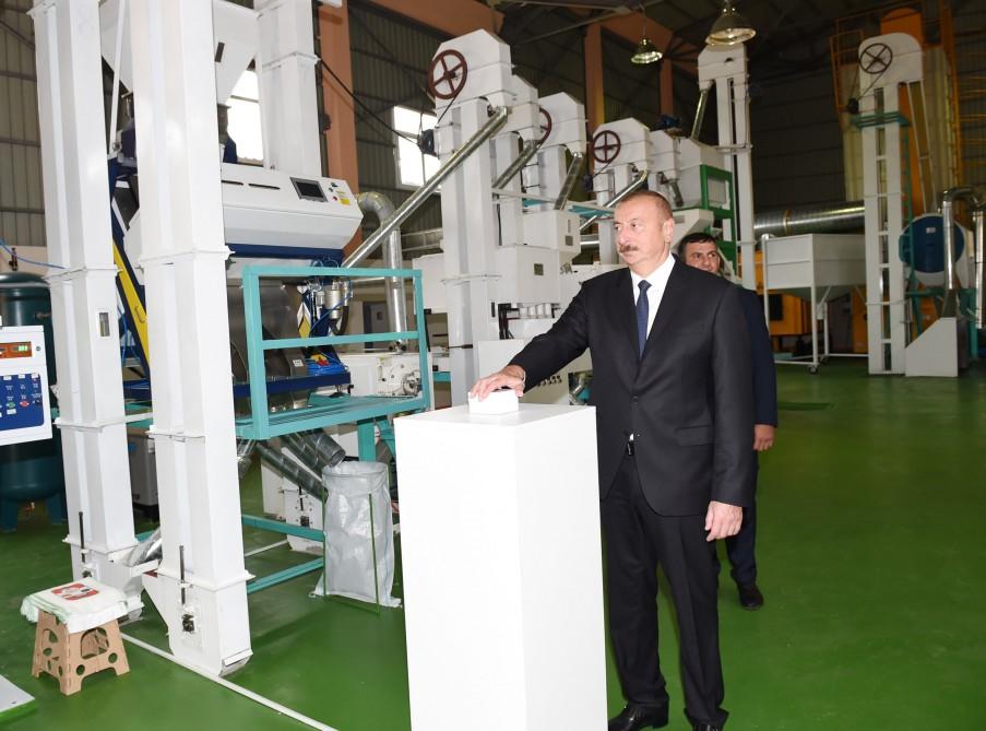 Azerbaijani president attends opening of Masalli-Nematlari LLC rice plant (PHOTO)