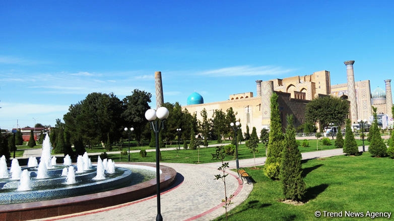 Uzbek official talk dev't of tourism, grand plans for transport sector growth (Exclusive)