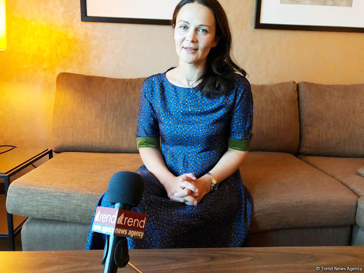 Azerbaijan and Russia: deputy minister talks trade, FTAs, joint projects (Interview)