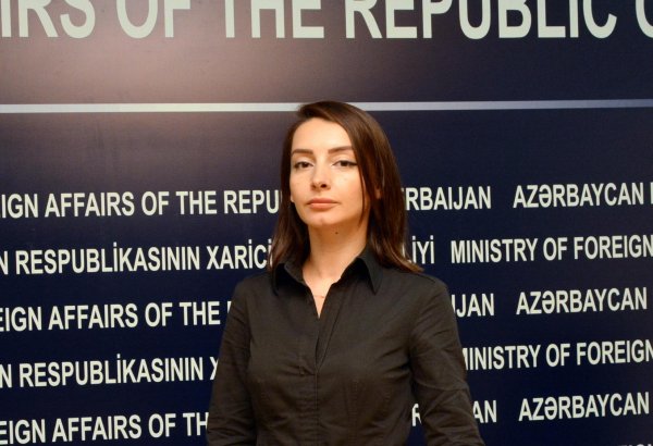 Armenian aggression caused great damage to Azerbaijan's nature: MFA