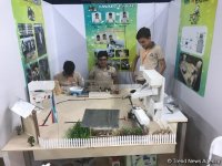 Second World Robot Olympics underway in Baku (PHOTO)