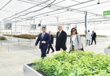 Azerbaijani president, first lady view sapling enterprise of Guba Scientific-Research Institute (PHOTO)