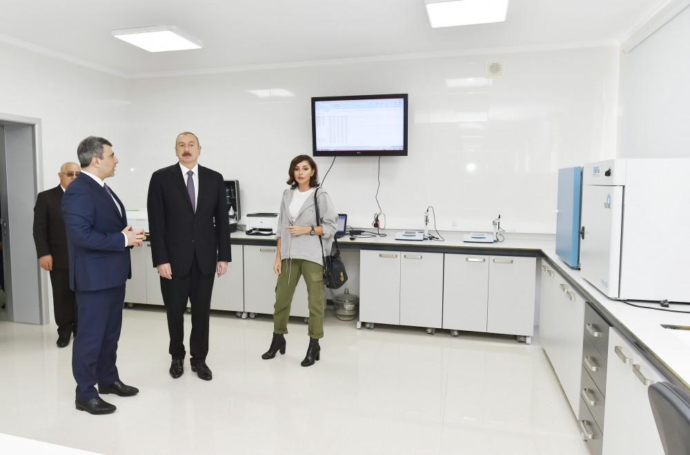Azerbaijani president, first lady view sapling enterprise of Guba Scientific-Research Institute (PHOTO)