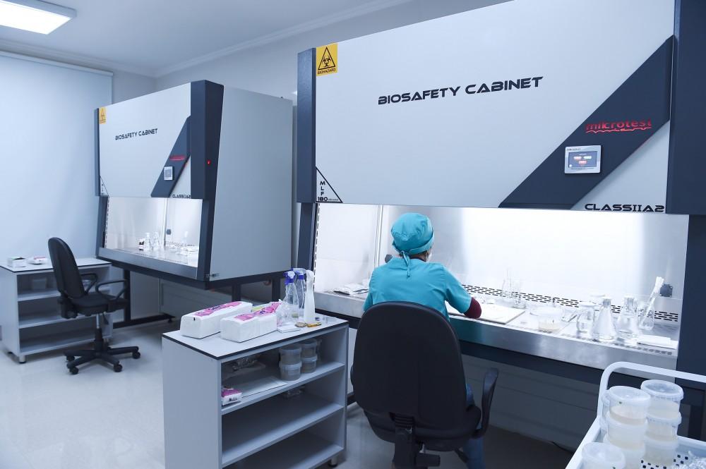 Azerbaijani president, first lady view sapling enterprise of Guba Scientific-Research Institute (PHOTO)