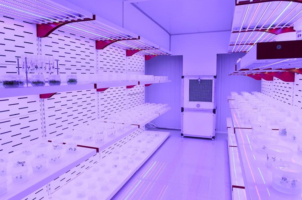 Azerbaijani president, first lady view sapling enterprise of Guba Scientific-Research Institute (PHOTO)