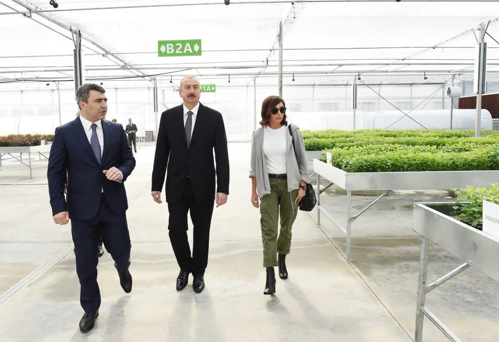 Azerbaijani president, first lady view sapling enterprise of Guba Scientific-Research Institute (PHOTO)