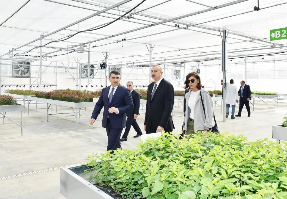 Azerbaijani president, first lady view sapling enterprise of Guba Scientific-Research Institute (PHOTO)