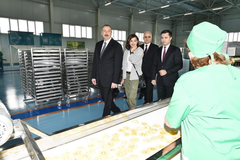 Azerbaijani president, first lady attend inauguration of Gubaekoagrar agricultural plant (PHOTO)