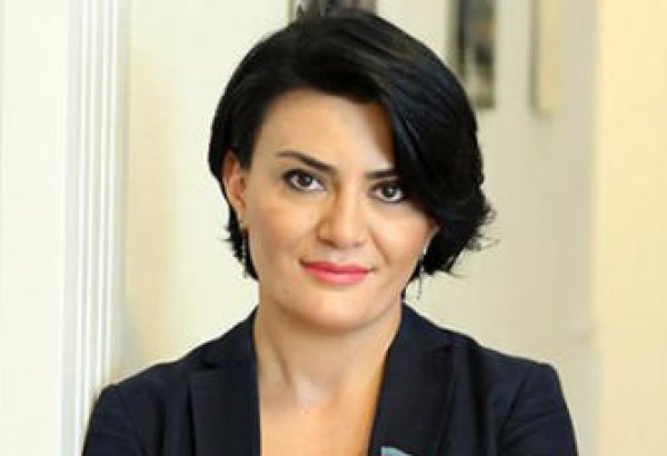 Radical opposition begs help from external anti-Azerbaijani forces - MP