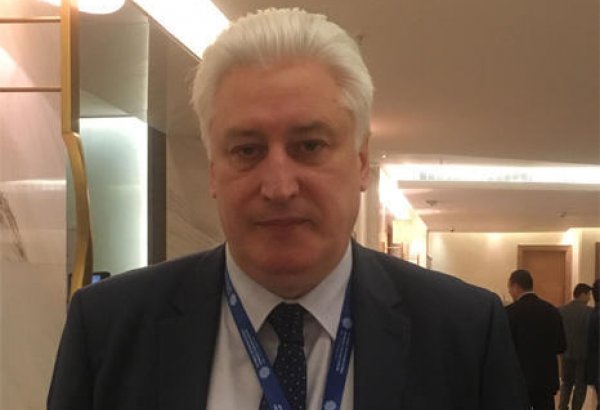 Parliamentary poll affirms Azerbaijani political system's perfection - Russian analyst