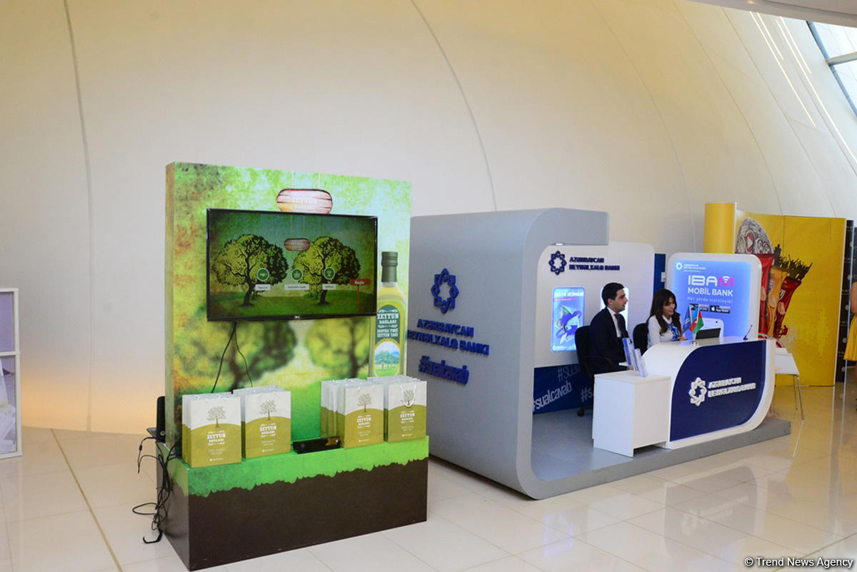 Robot Sophia: Azerbaijan has huge potential to transform into regional innovation hub (PHOTO/VIDEO)