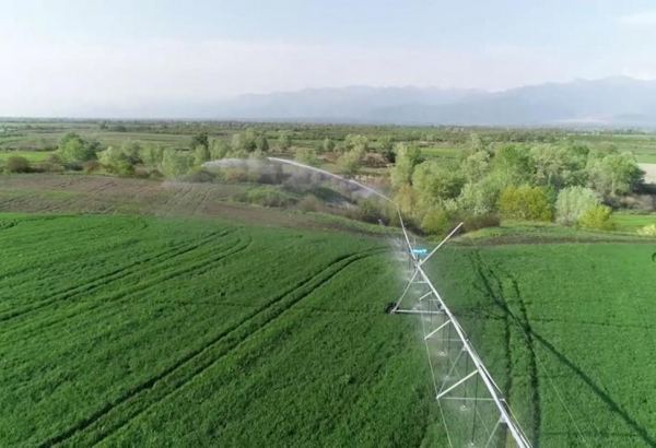 Azerbaijan boosts agricultural yields