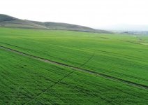 President Ilham Aliyev, First Lady Mehriban Aliyeva attend opening of Gakh Agropark (PHOTO)