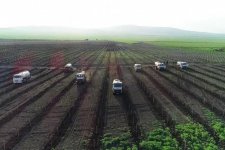President Ilham Aliyev, First Lady Mehriban Aliyeva attend opening of Gakh Agropark (PHOTO)