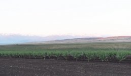 President Ilham Aliyev, First Lady Mehriban Aliyeva attend opening of Gakh Agropark (PHOTO)