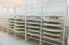 President Ilham Aliyev, First Lady Mehriban Aliyeva attend inauguration of Gakh Silkworm Breeding Station (PHOTO)