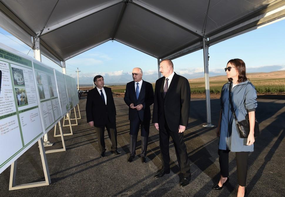 President Ilham Aliyev, First Lady Mehriban Aliyeva attend opening of Gakh Agropark (PHOTO)