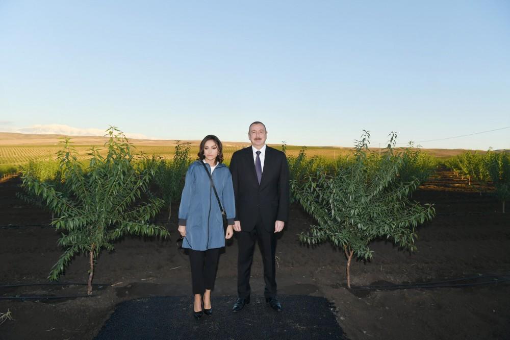 President Ilham Aliyev, First Lady Mehriban Aliyeva attend opening of Gakh Agropark (PHOTO)