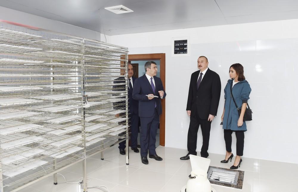 President Ilham Aliyev, First Lady Mehriban Aliyeva attend inauguration of Gakh Silkworm Breeding Station (PHOTO)