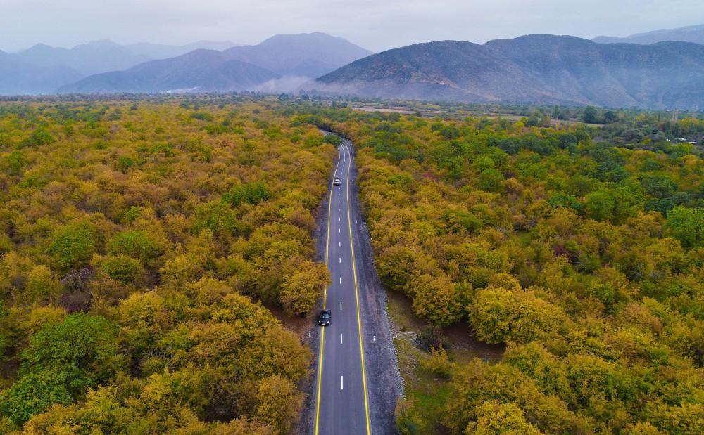 President Ilham Aliyev attends inauguration of Gakh-Gipchag-Aghyazi road (PHOTO)