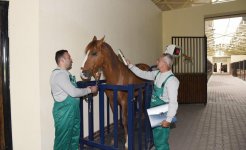 Azerbaijani president, first lady attend opening of Qarabag Equestrian Complex (PHOTO)