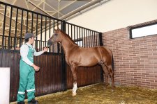 Azerbaijani president, first lady attend opening of Qarabag Equestrian Complex (PHOTO)