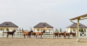 Azerbaijani president, first lady attend opening of Qarabag Equestrian Complex (PHOTO)