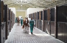 Azerbaijani president, first lady attend opening of Qarabag Equestrian Complex (PHOTO)