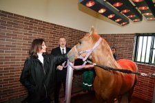 Azerbaijani president, first lady attend opening of Qarabag Equestrian Complex (PHOTO)