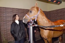 Azerbaijani president, first lady attend opening of Qarabag Equestrian Complex (PHOTO)