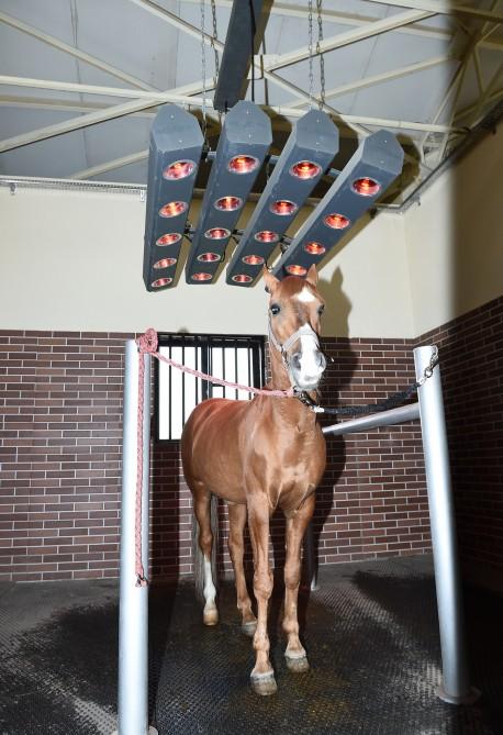 Azerbaijani president, first lady attend opening of Qarabag Equestrian Complex (PHOTO)