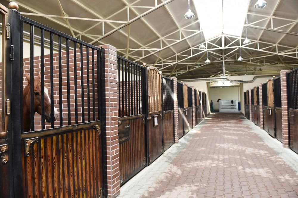 Azerbaijani president, first lady attend opening of Qarabag Equestrian Complex (PHOTO)