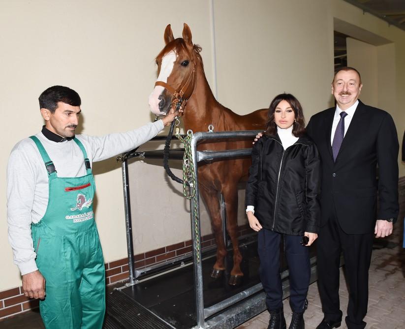 Azerbaijani president, first lady attend opening of Qarabag Equestrian Complex (PHOTO)