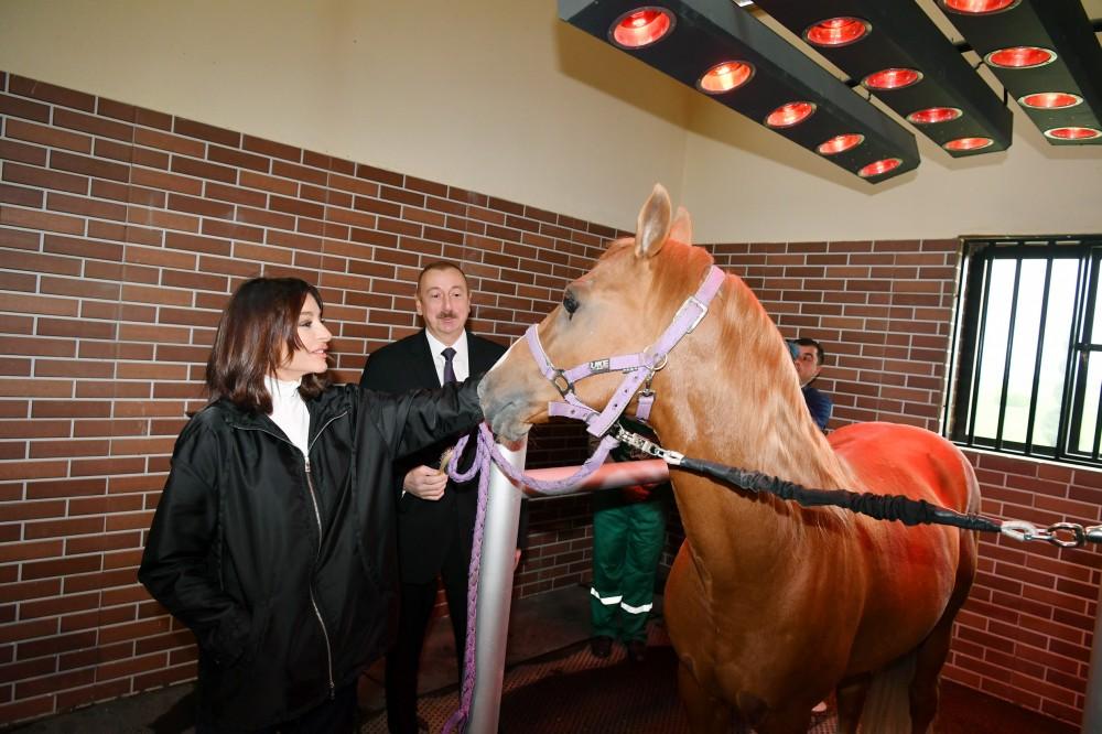 Azerbaijani president, first lady attend opening of Qarabag Equestrian Complex (PHOTO)