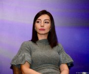 Baku hosts int’l conference on illegal activity in occupied Azerbaijani lands (PHOTO)